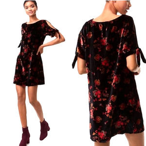 Loft Crushed Velvet Floral Mini Dress Velvet Cold Shoulder Dress With Ties XS